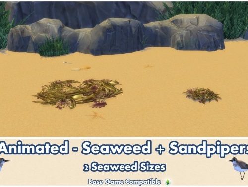 Animated Seaweed + Sandpipers by Bakie