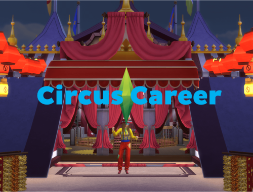 Circus Career (TS1 to TS4)