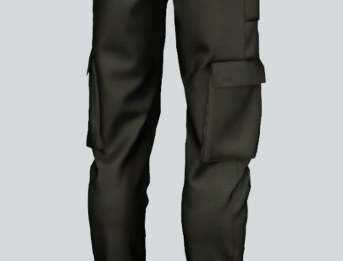 Cargo pants at Rona Sims