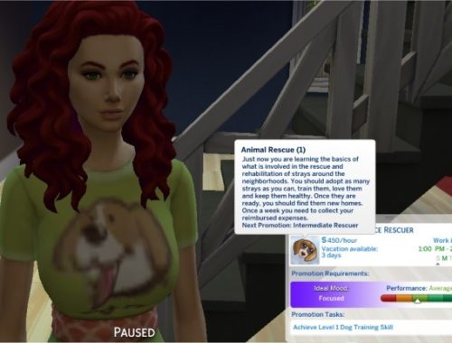 Animal Rescue Mod and Career