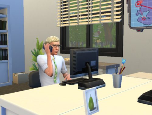 Security Guard Career