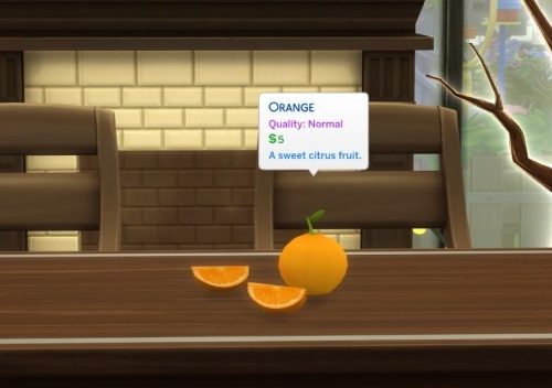 Harvestable Orange by icemunmun