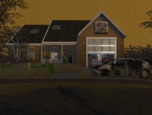2425 Constance Ave (TLOU2) by Cuddlepop