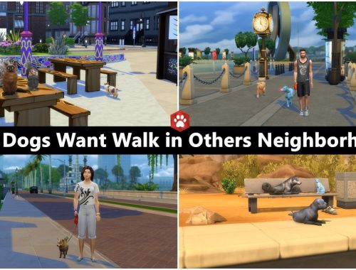Cats and Dogs want to walk in others neighborhood too
