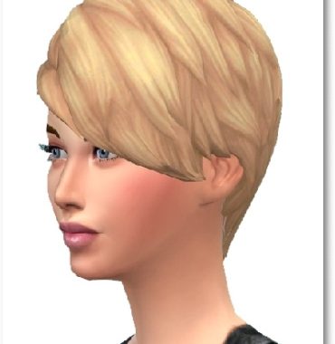 Slashed Hair Short Bangs