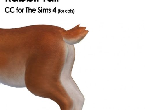 New Tails for Dogs and an update for the Cats at Kalino