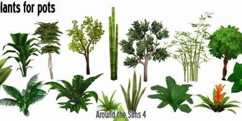 More Pots & Plants by Sandy at Around the Sims 4