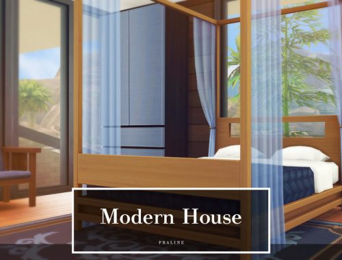 Modern House