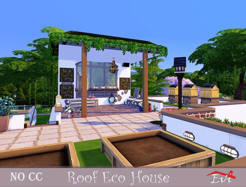Roof Eco house