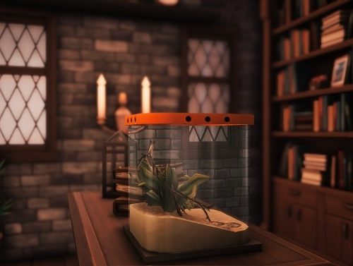 The Wizard’s House at Miss Ruby Bird