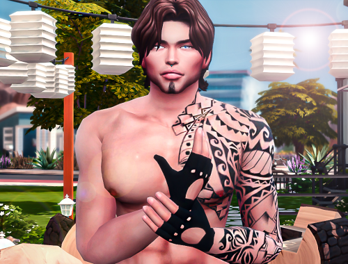 Logan sims download