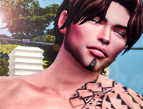 Logan sims download