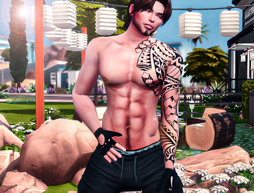 Logan sims download