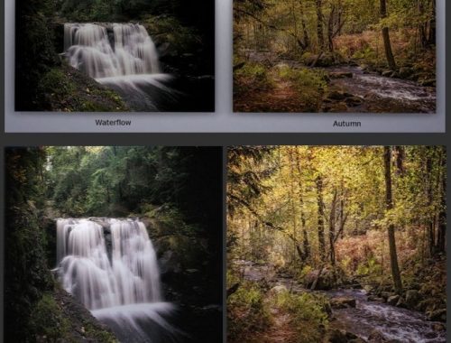 Paintings and Wallpapers G. Biechele
