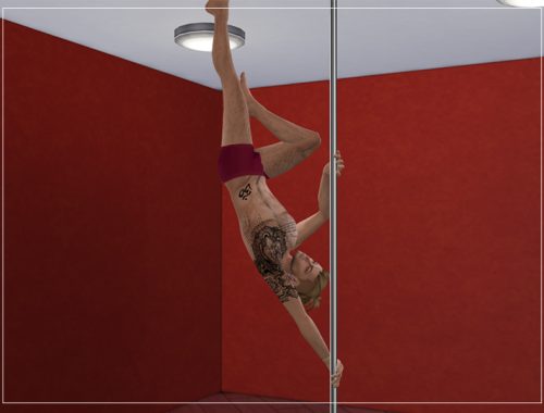 Grab The Pole Pose Pack