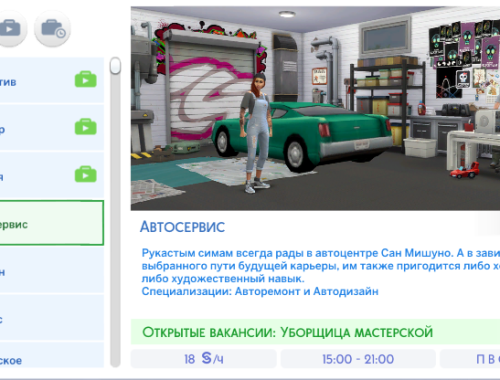 Auto Service career