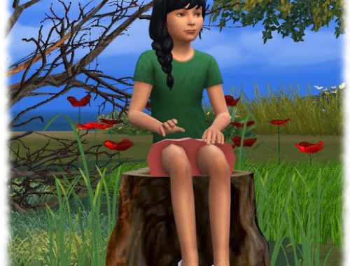 Logs by Simsladyrita converted by dorosimfan1 at Sims Marktplatz