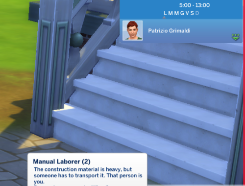 Adult Manual Laborer Career