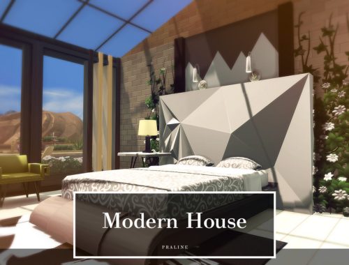 Modern House