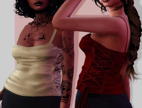 3500 Followers Gift at EvellSims