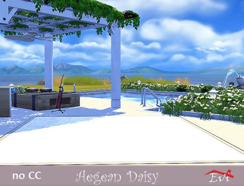 Aegean Daisy