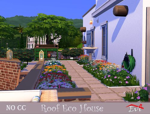 Roof Eco house