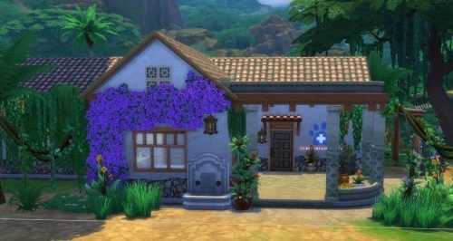 Tropical veterinary