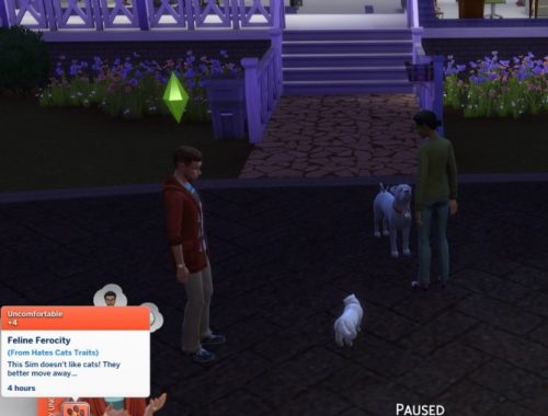 Hates Cats/Dogs/Pets Traits