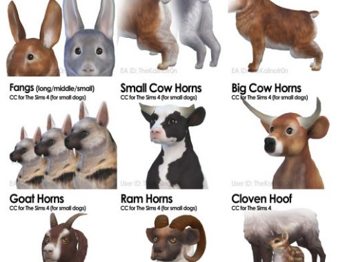 List of all CC for Animals at Kalino