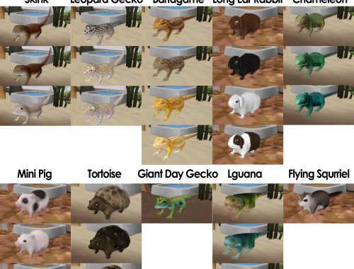 Small Animal Package (Part 2) at Kalino