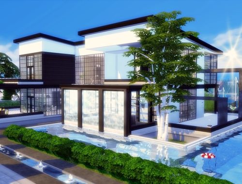 Terry modern home