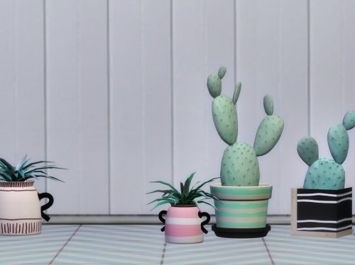 Ansa Potted plants set at Slox