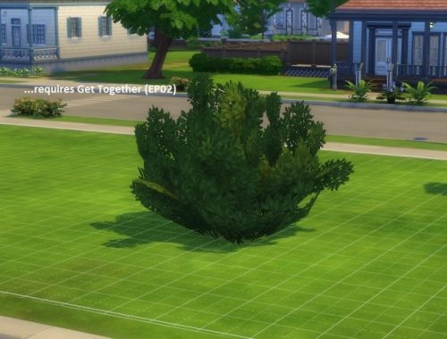 4 unlocked plants (2 trees and 2 shrubs) by poisson at Mod The Sims
