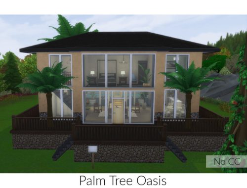 Palm Tree Oasis