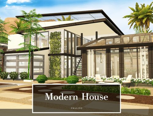 Modern House
