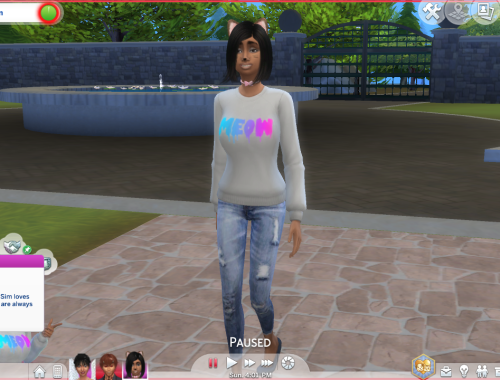 Neko Trait