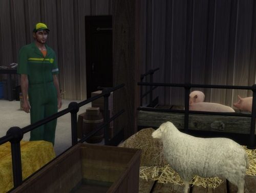 The Farm at Alial Sim