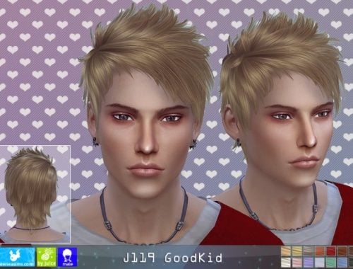 J119 Goodkid Newsea Hair (Donate)