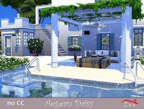 Aegean Daisy