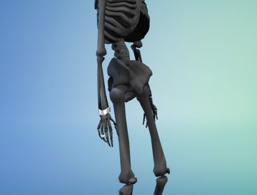 Unlocked Jungle Adventure Skeleton Outfit by blueshreveport