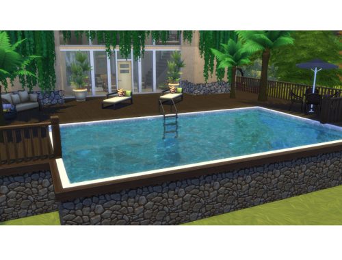 Palm Tree Oasis