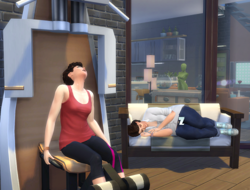 Fitness Controls
