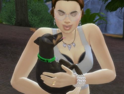 Service Dog Collars for Small Dogs by EmilitaRabbit