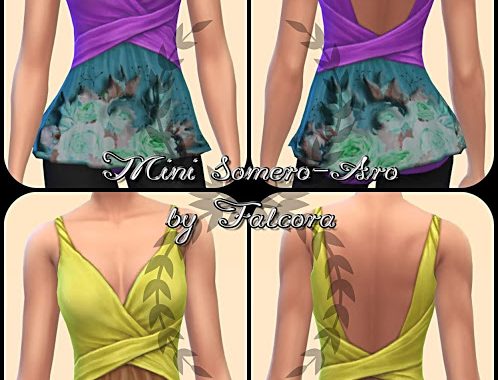 Mini Somero Aro 16x top at Petka Falcora