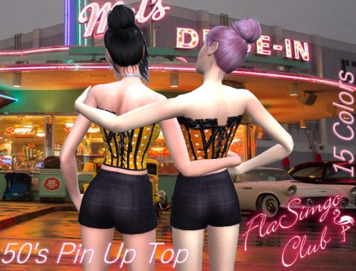 50's Pin Up Top