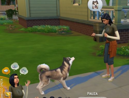Allergic to Fur Trait and more!