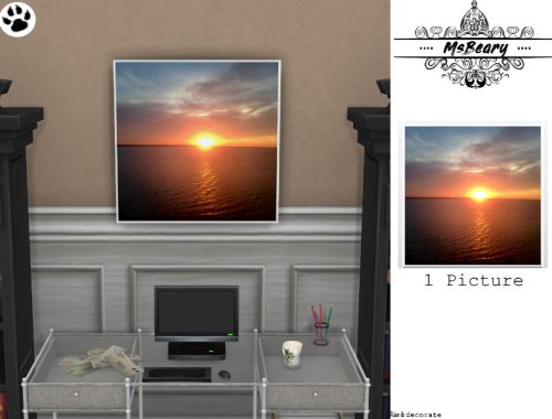 Sunset/Water Pictures