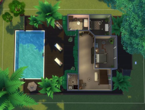 Palm Tree Oasis