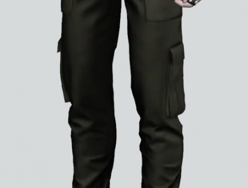 Cargo pants at Rona Sims