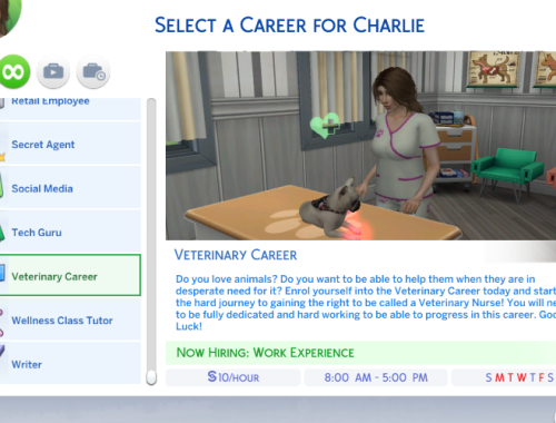 Veterinary Career
